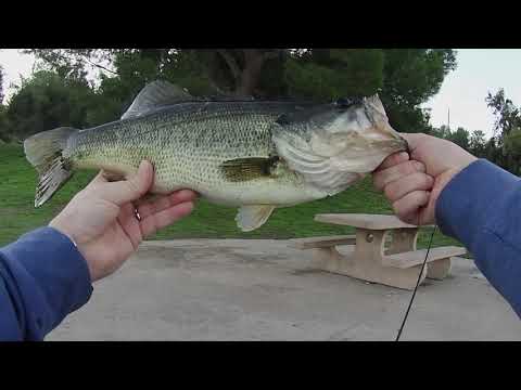 Early Fall Bass fishing