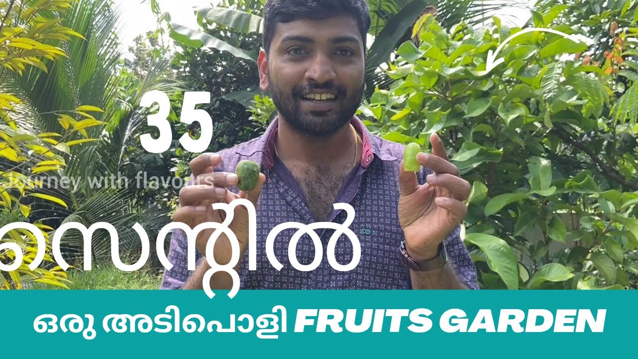 35 സെന്റിൽ ഒരു അടിപൊളി Fruits Garden Fruits Garden Malayalam Home