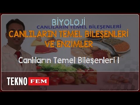 YGS-LYS BİYOLOJİ - Canlıların Temel Bileşenleri 1