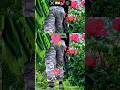 commando love 😘#youtubeshorts #faujilyfstyle #ytshorts #armylover #indianarmy#attitude #army #shorts