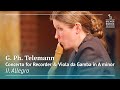 Georg Philipp Telemann: Concerto for Recorder and Viola da Gamba in A minor, TWV 52:a1, II. Allegro