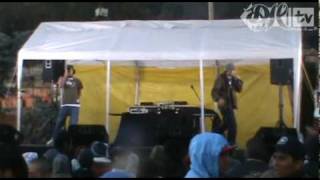 Cultural Fest Toluca | Luardo