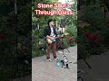 Stone Sour - Through Glass live cover #song #music #музыка #гитара
