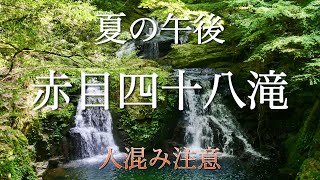 赤目四十八滝（夏の午後）