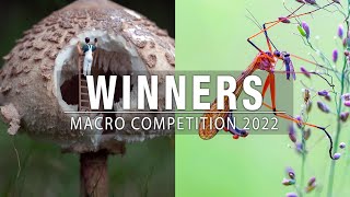 Macro Competition Winners 2022!
