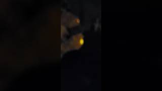 Hey Le Dine Mıgo Çiya Bılınde(Uzun Hava) - Ji Biramın Naçi Sali̇h Demi̇ral