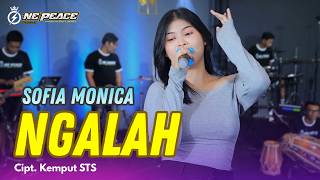 Ngalah ngancani Wong Sing Salah  Sofia Monica  One Peace  Dangdut