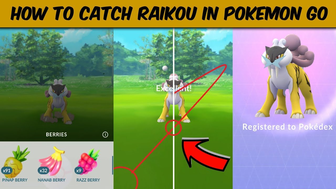 Raikou (Pokémon) - Pokémon GO