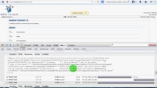 hacking intelltest with firefox (firebug)