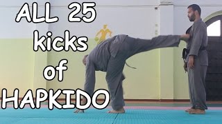 25 Basic Kicks of Hapkido | Step by Step Tutorial fro beginners 25 Basic Kicks of Hapkido | Step by Step Tutorial fro beginners