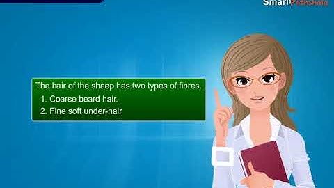 NCERT CBSE Class 7 Science Chapter 3 Fibre to Fabric Part 1