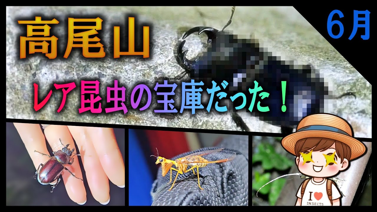 Bug Hunt] Unexpected Twist While Climbing a Mountain for Stag