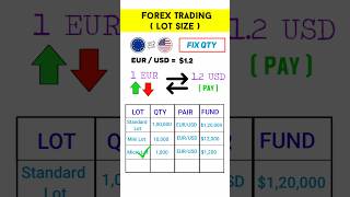 Forex Trading Lot Size Explained in Hindi | Lot Size in Forex Trading #shorts