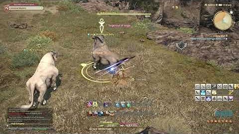 FFXIV - A Dying Wish