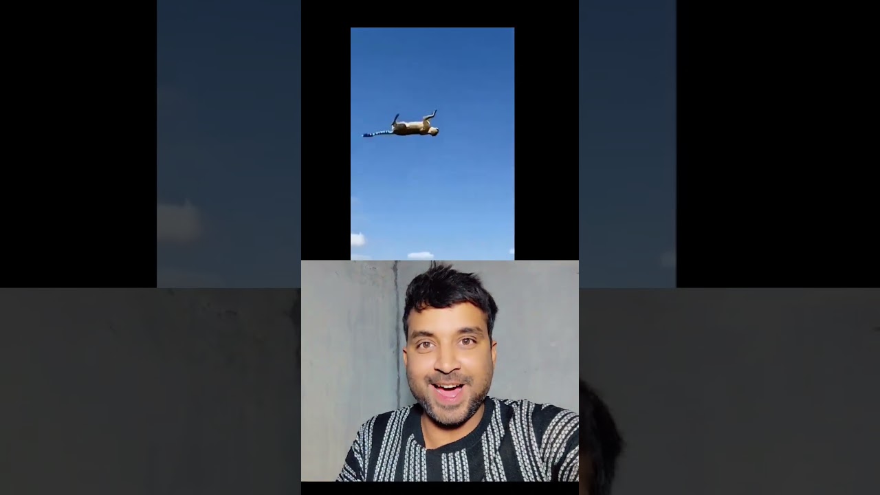 Sher ki hawa nikal gayi! 😱 Buffalo vs Lion: The Final Revenge? 😂 