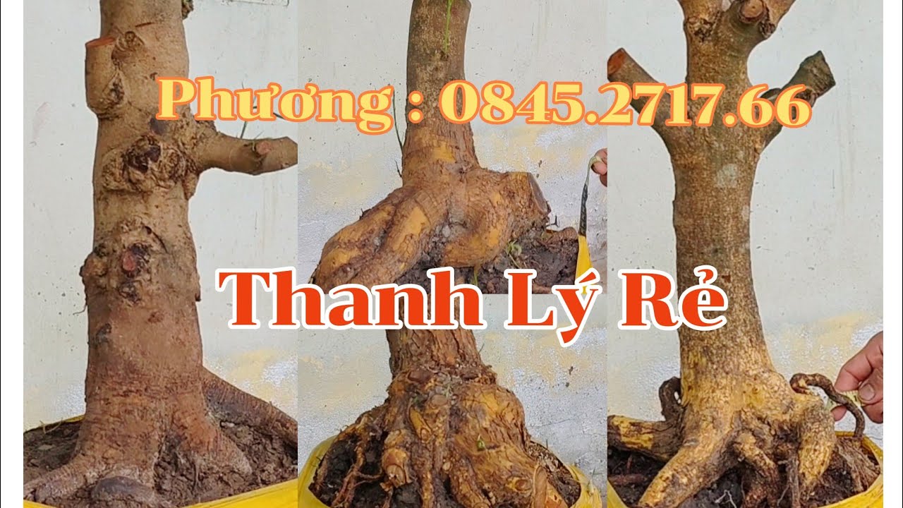 7/7)☎️ Phuong: 0845.2717.66 Exchange: Cheap Liquidation - YouTube
