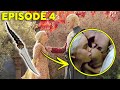 Daemon wants to marry Rhaenyra?  Who owns Catspaw dagger in GOT | House of Dragon Episode 4