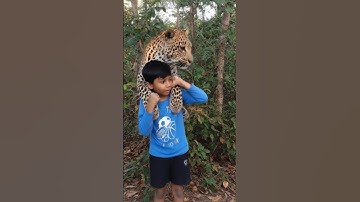 TUTORIAL Leopard Leap Filter 🐯  #tutorialfilter #filter