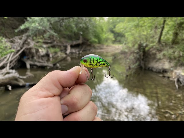 Rebel Lures, Teeny Wee R Crankbait! Best Lures for Catching Creek Fish! How  to fish a creek for Bass 