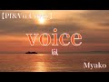 voice(嵐)[cover]