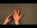 Mouvements des articulations des doigts