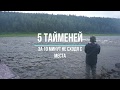 Рыболовные туры. 5 ТАЙМЕНЕЙ за 10 минут. Рыбалка на севере. Охота на речных монстров.