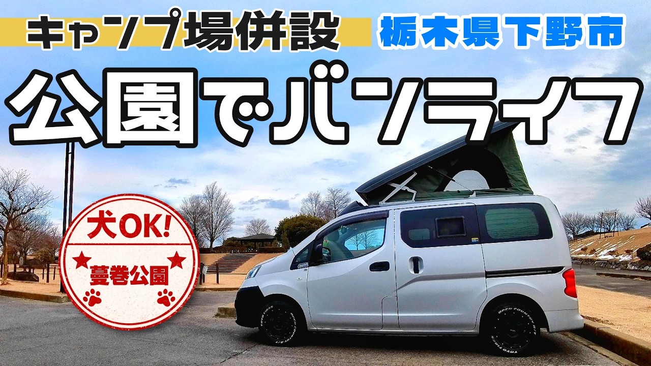 Van life in a dog-friendly park | A day of rice balls and walks at