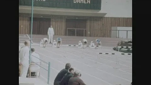 News Item (1b23fafa-4e05-d1a2-ffa6-fdb28dda1031)