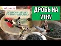 Какой дробью стрелять утку на охоте? Videoohota