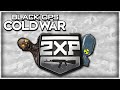 Black Ops Cold War: Still Some More Weapon XP Tips