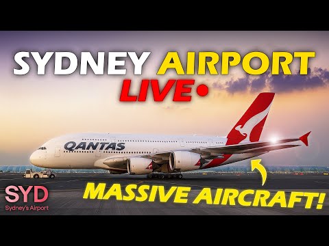 🔴 LIVE Plane Spotting @ Sydney Airport! MASSIVE AIRCRAFT!
