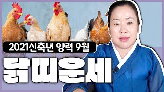 [충남용한무당 옥화보살] 2021신축년 9月 닭띠 운세 | 띠별운세 닭띠