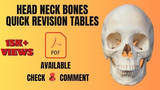 36 Head Neck Bones - Quick Revision | Skull | 📝For PDF Notes, Check Description Box