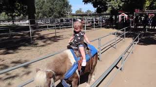 Big Little Kid Pony Rides Irvine Park Railroad - Irvine Regional Park