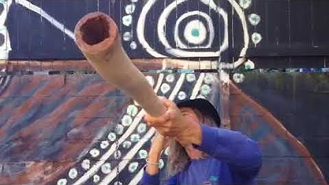 Eucalyptus Didgeridoo 44 inch key of E