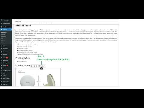 Image Title Tag does not work & Update in WordPress 2023