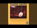 Feuding banjos