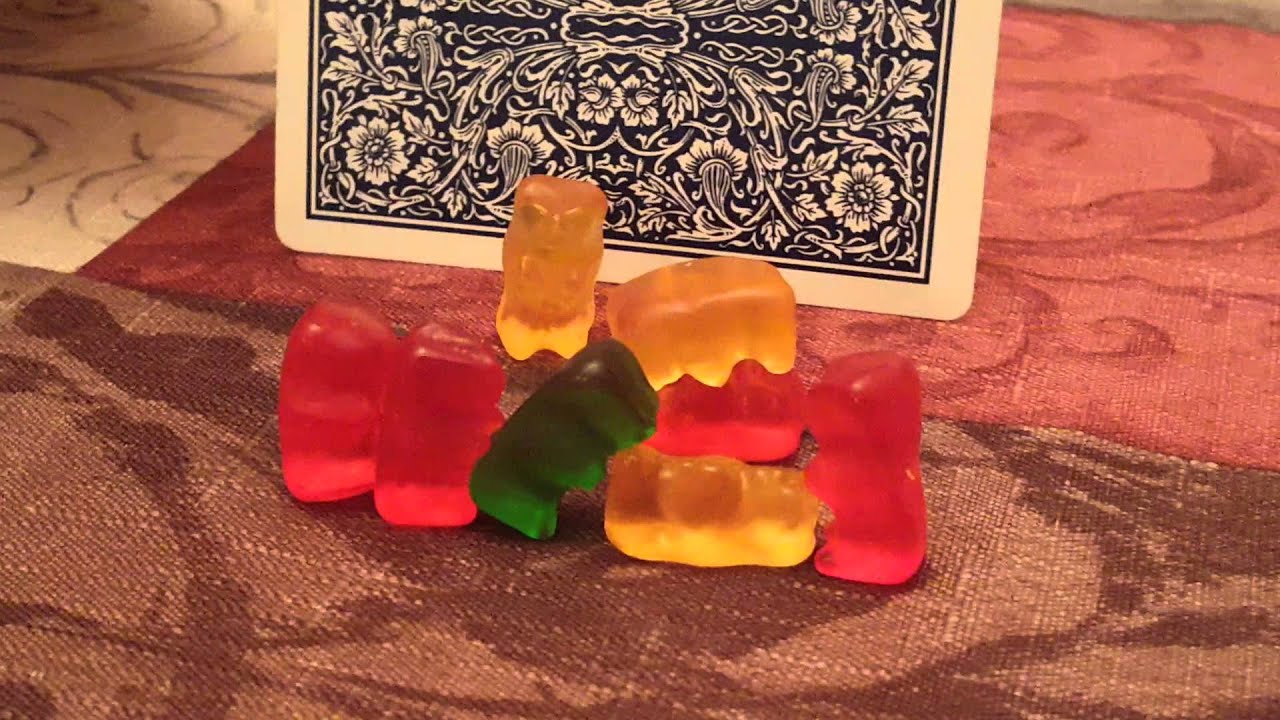 Gummy Bear Porn Orgy Youtube 