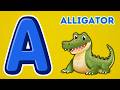 Kids Learn ABC Letters and Animal Names with This Song - Alligator, Bear, Cat, Dog