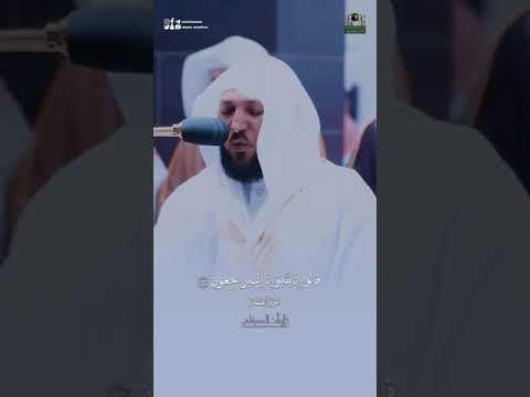 إ ن ا ل ل ه و إ ن ا إ ل ي ه ر اج ع ون أجمل التلاوات الهادئه فضيلة الشيخ ماهر المعيقلي