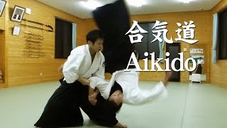 Aikido Techniques 合気道‐技紹介 - YouTube