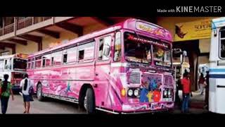 Beautiful Buses In Sri Lanka.
