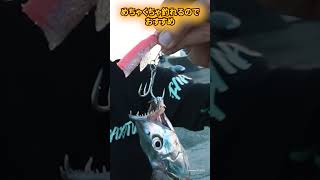 タチウオの釣り方3選 #タチウオテンヤ #太刀魚 #タチウオ #fmaxweb #shorts