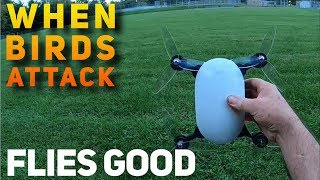 JME Drone First Flight When Birds Attack Flies Good