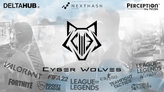 This is Cyber Wolves Esports