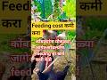 feeding cost कमी करा 🐓 #modernfarming #farming #poultryfarming #poultrytips