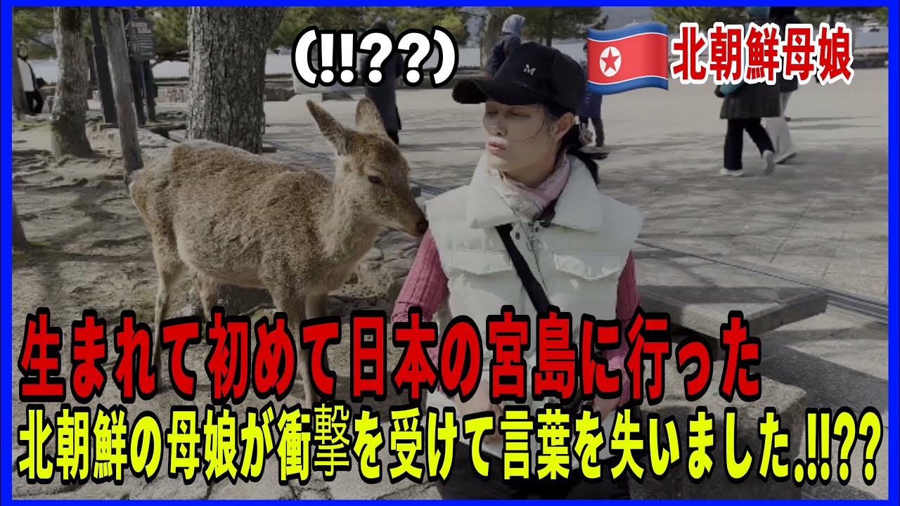 生まれて初めて日本の宮島を見て、北朝鮮の親子がショックを受けました。
