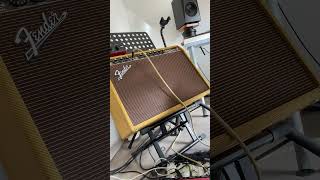 IMG 0146