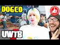 DOGCO. 🔥 UWTB ...reaction to the subtly brilliant indie rock song, from an exciting new band「 ドッコ 」