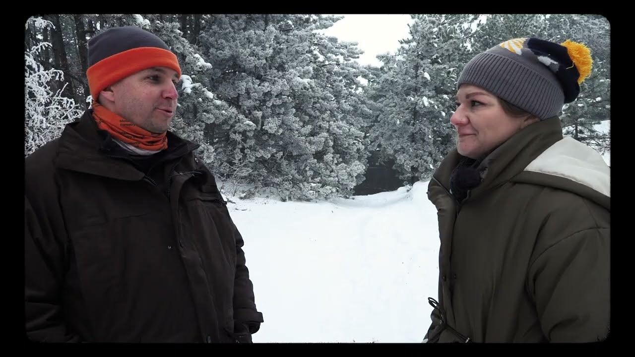 Mit jelent az erdők számára az idei tél? 🌳❄️ #erdőmánia